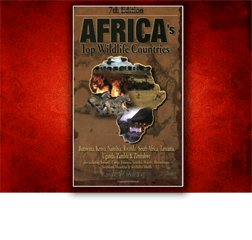 Image link to  Africa Travel Guides