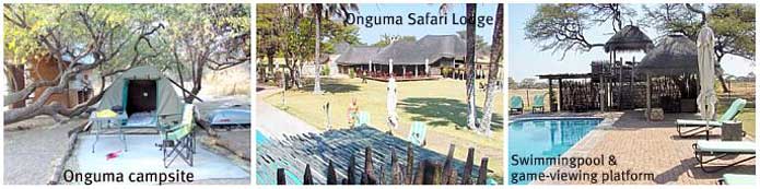 Onguma Safari Lodge, Van Lindequist Gate, Etosha National Park