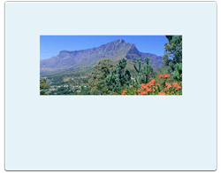Cape Town and Winelands - Information spotlight