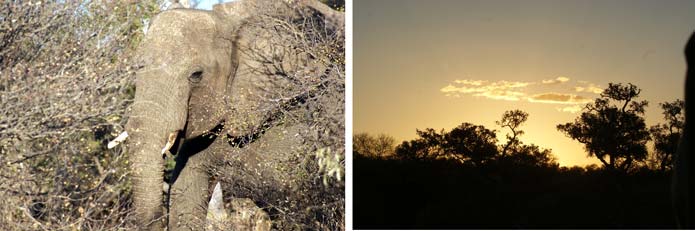 Elephant sighting - and a spectacular sunset