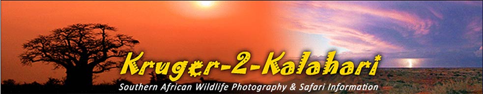 Kruger-2-Kalahari Banner