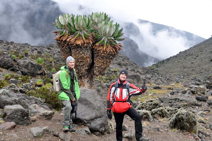 Kilimanjaro moorland and volcanic terrain 