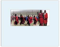 Honeymoon & safari destinations